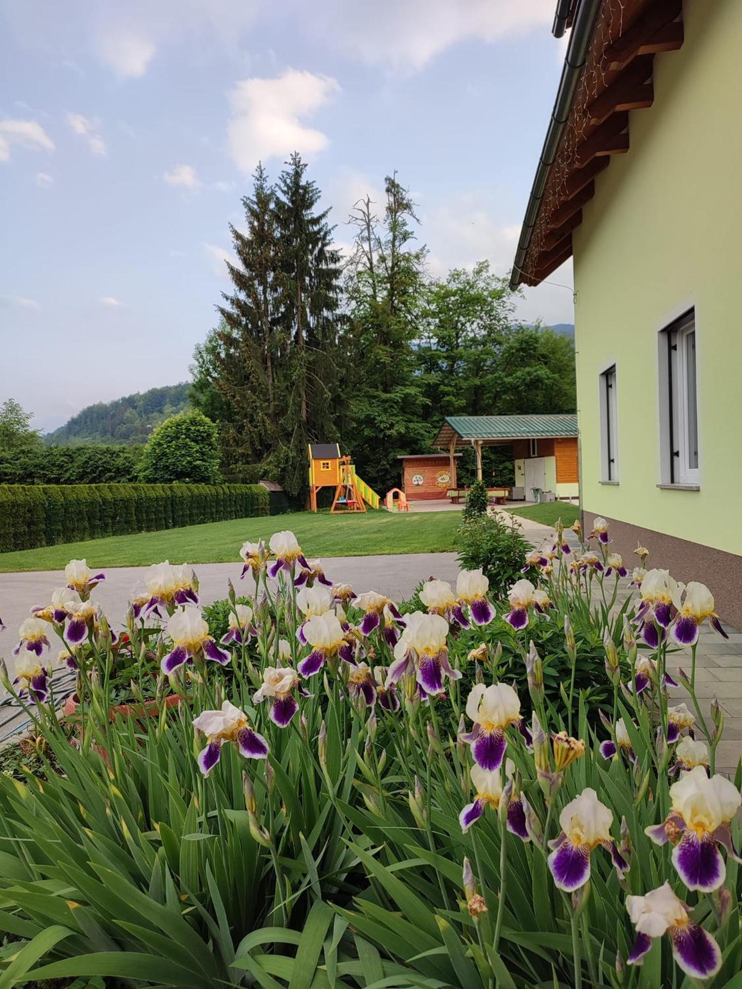 Apartments And Wellness Jelovca Радовлица Экстерьер фото